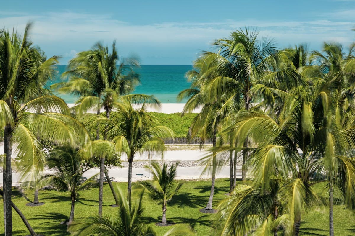 Best Hotels for a Bachelorette Party in Miami (2026)